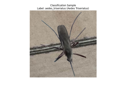 Managing and Loading Datasets